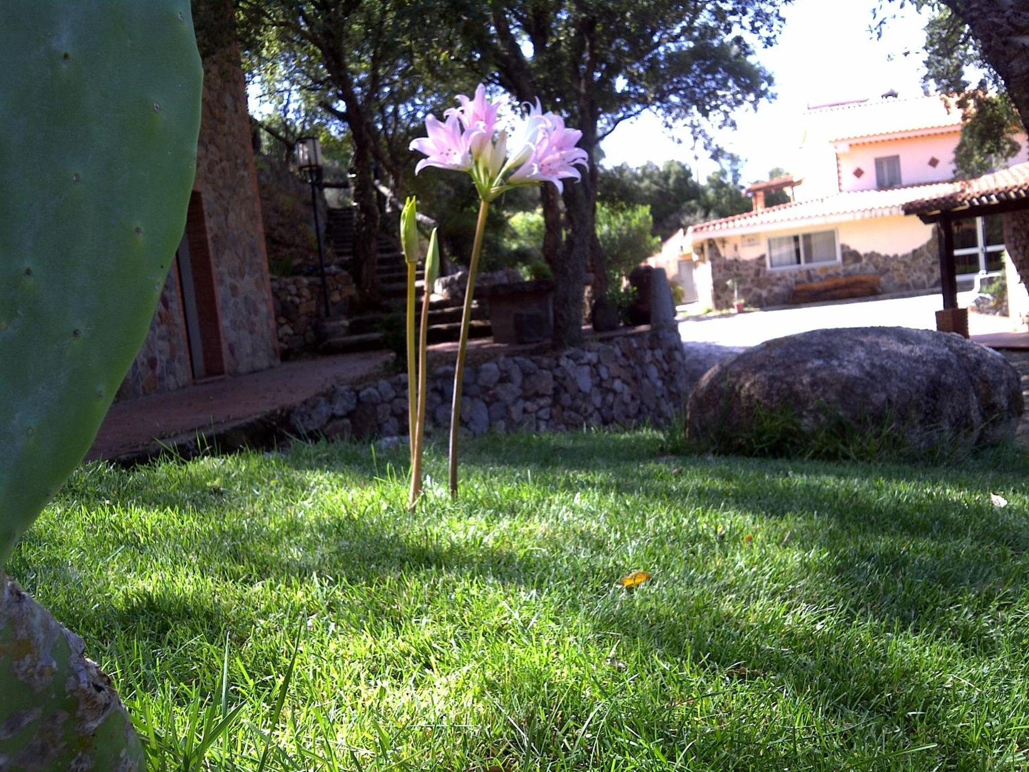 La Quercia Guest House Arbus Bagian luar foto